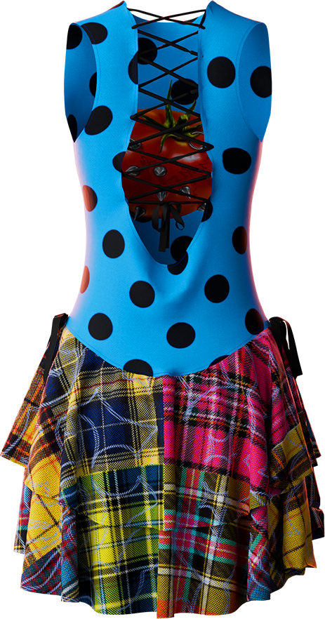Punk Tomato Dress